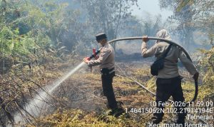 IMG-20260211-WA0045
