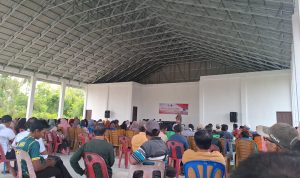 IMG-20260212-WA0067(2)