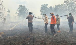 IMG-20260406-WA0053